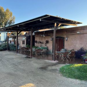 WhatsApp Image 2023-10-23 at 9.50.04 AM